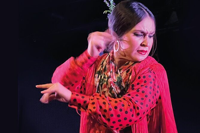 Traditional Flamenco Show at Tablao Casa Ana - Should you book Tablao Flamenco Casa Ana in Granada?