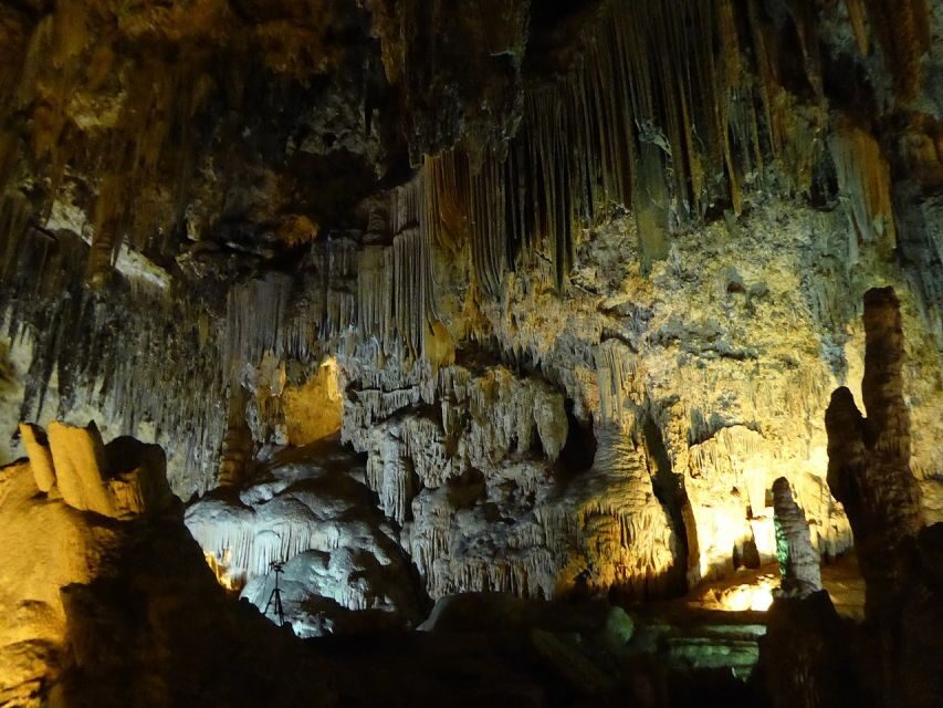 Tropical Coast and Caves of Nerja Day Tour from Granada - Almuñécar’s guided history and San Miguel Castle: the part you’ll remember