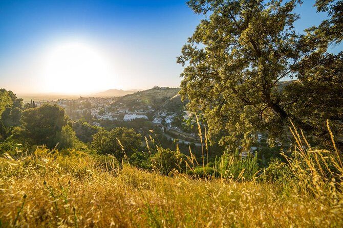 Water paths. Private adventure and history tour - Cerro del Sol: labyrinth roads, ditches, and a forest break